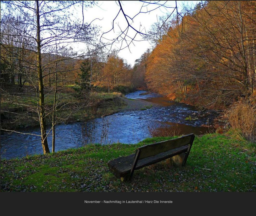 Ferienhaeuser Am Waldschloesschen Lautenthal Exterior photo